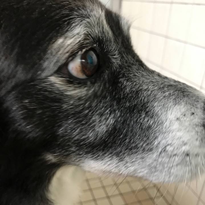 099377c8 eac2 4240 b092 24bd748ec16e 1524618972962