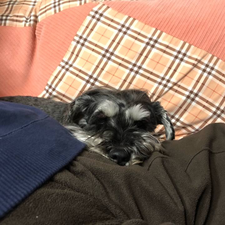 0993b0d6 60a1 455a 9066 dfc540e039d8 1684590289268