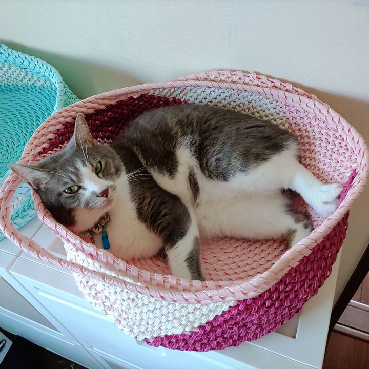 0993ea4b e66f 4840 90cc 69e33898c67f 1689557317645