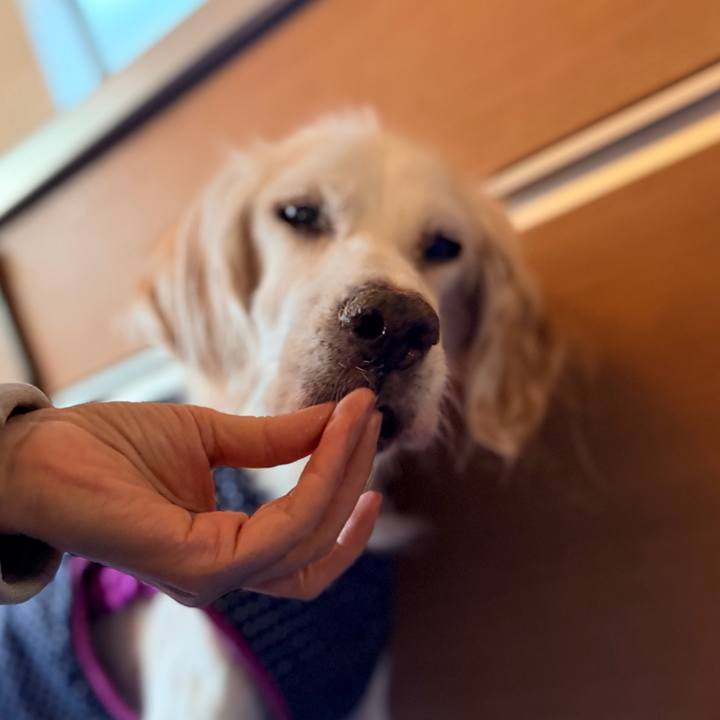 099406f4 6e09 49cf 8831 50b89b219450 1762826075041