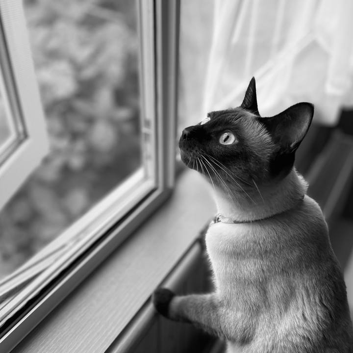 099488f8 2f79 4489 b2a0 abcd20deb668 1721421347065