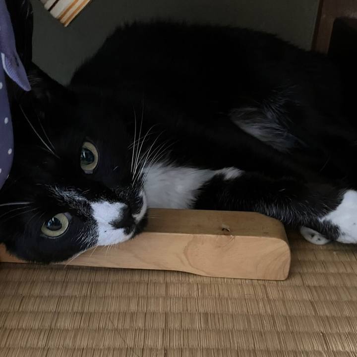 09949545 3fd5 479d b968 e1e9b7f99208 1693971081173