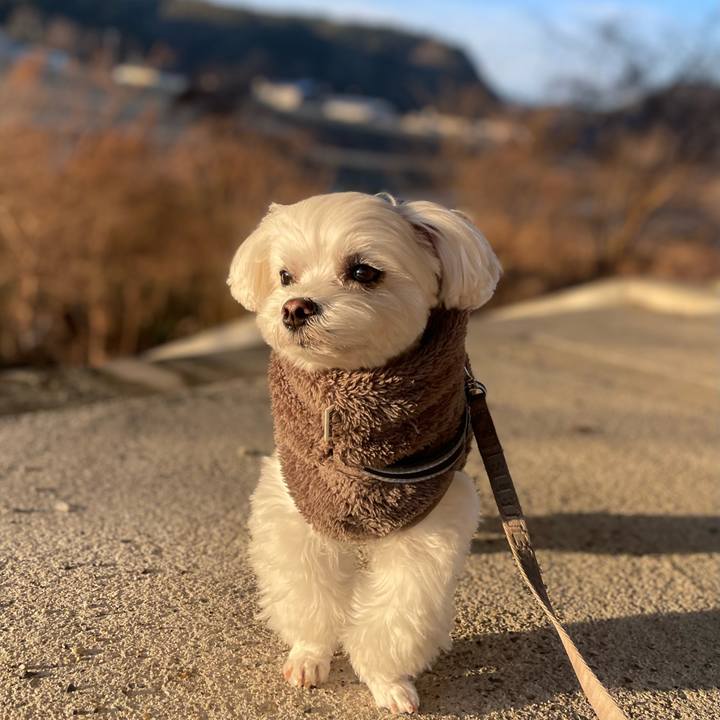 0994d093 796a 4917 86a7 fa545ab2ec5d 1771544622348