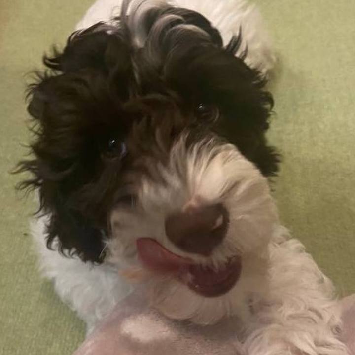 0994dcc1 40e4 4891 85cb 4017130e2a23 1609336046185