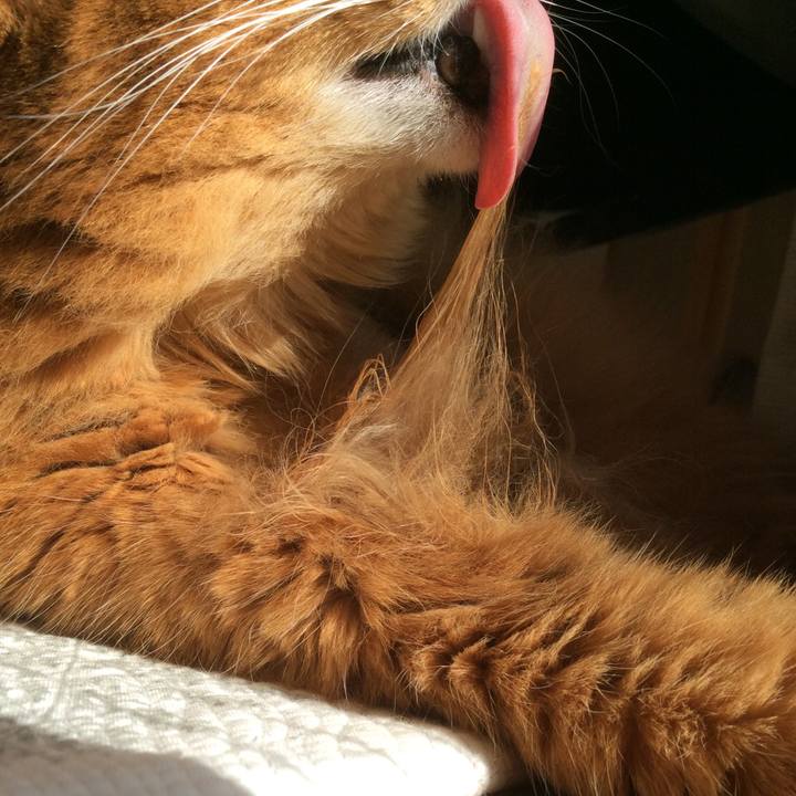 0994f10e ea5c 41e4 b70d 13cfe4cdc1dc 1608869809317