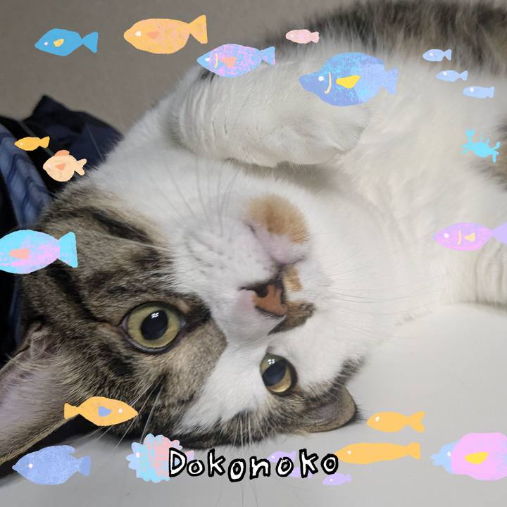 0994f504 1495 40ed bde0 5603a6414838 1755083679888