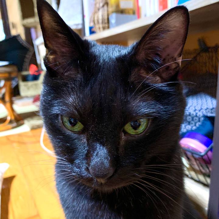 09950123 1c03 441c bf9f dbbed8db9908 1595849188555