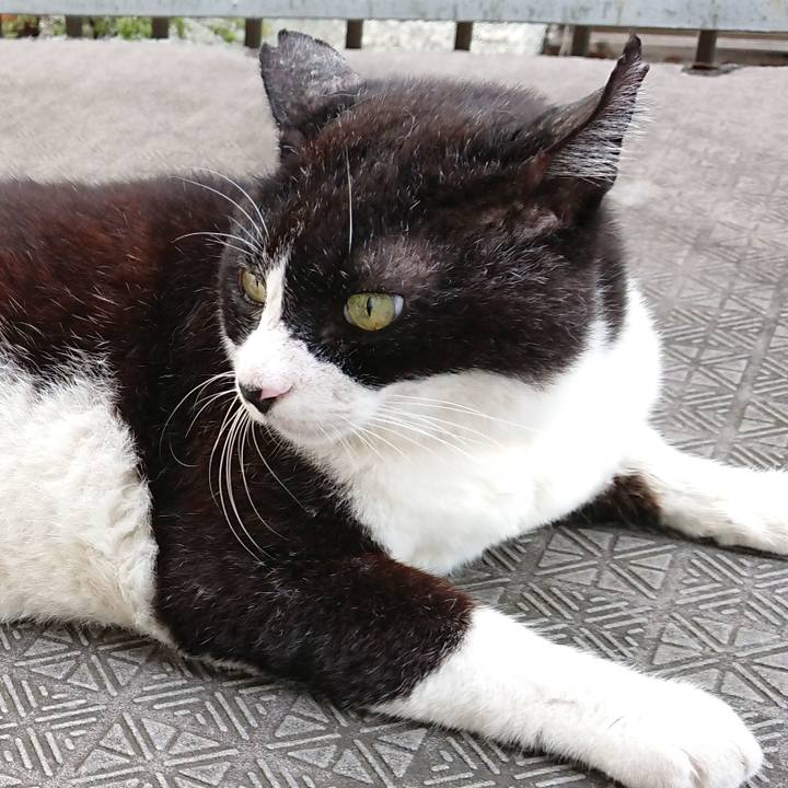 09955b6a 599d 4116 b00f 7268ffd46b9b 1633416328610