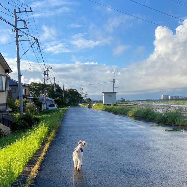 09957c25 ca0b 4c44 b436 7aa0f779c259 1598479536077