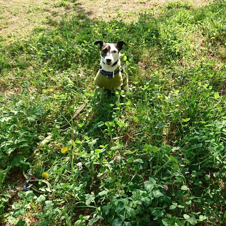 09959126 e77a 47d0 8987 2967c1e7fc3f 1523833340216