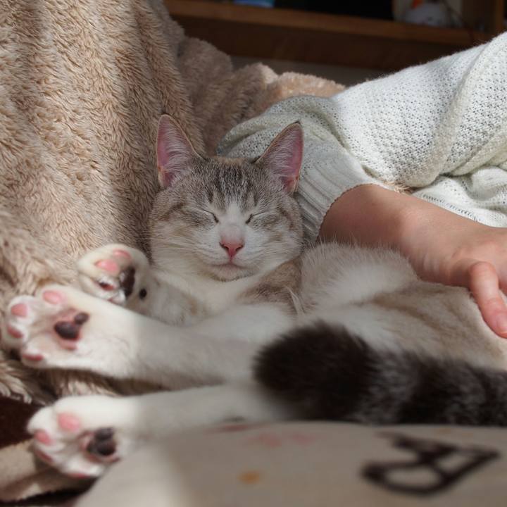 0995c749 8975 444e 9f9f a7a4127e4f6a 1517752839266