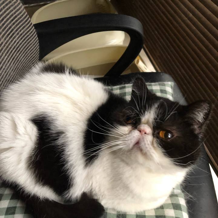 0995ee24 ef40 4b05 b4eb fbe671172e1c 1552792571069