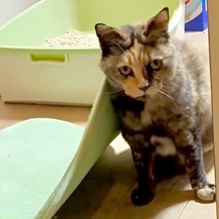 099659dd cc16 425c ad6a 4aa79d8cde6c 1749330950258