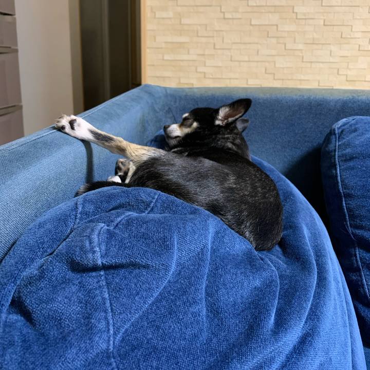 0996a7d5 5e33 4c3b a434 23be8d3c81c4 1589284115597