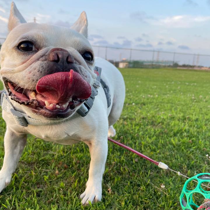 0996b971 d8c3 4b47 9d24 84fa5ced27fe 1750385198404