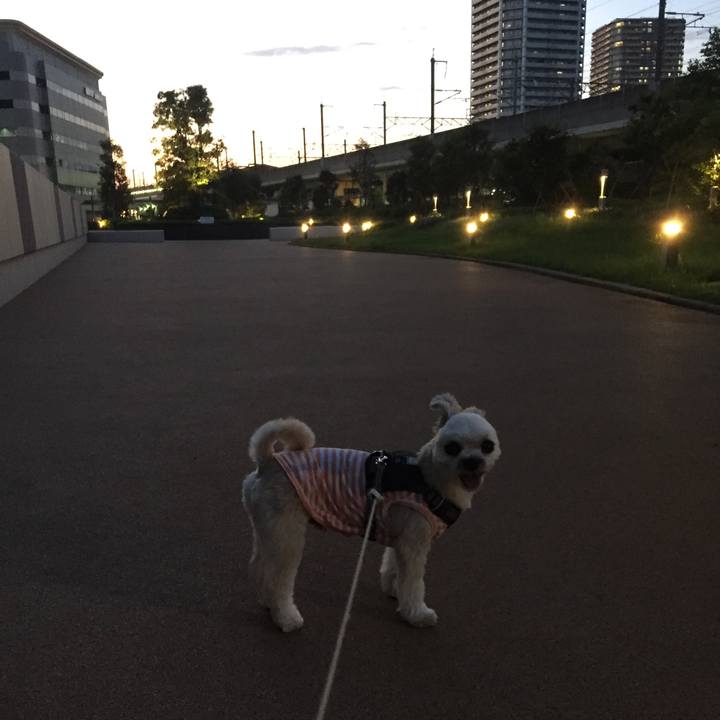 0996d88b b011 4378 b3ad 7c7a7e43be88 1565003908890