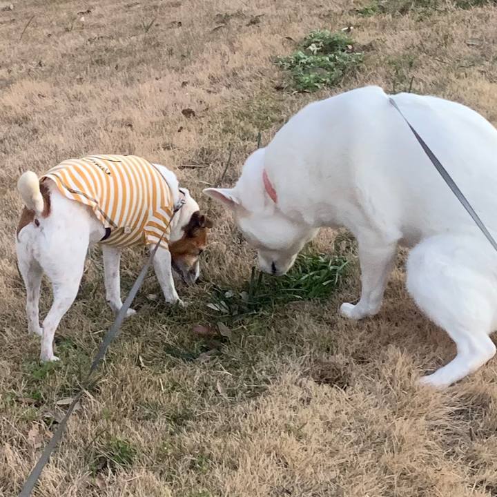 0996f667 b235 4df9 a93f 0afe952032d4 1546429926625