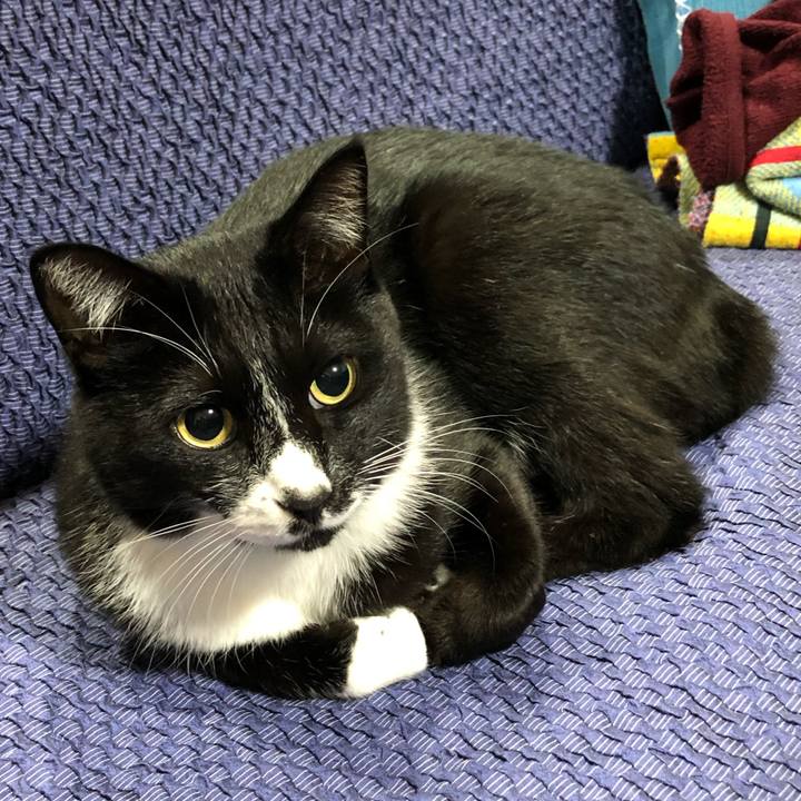 0996fa1e 653b 4505 ac09 6034881da366 1635220197252