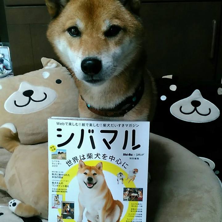 0996fb9d 89e9 4729 9693 54a367a31929 1540952595222