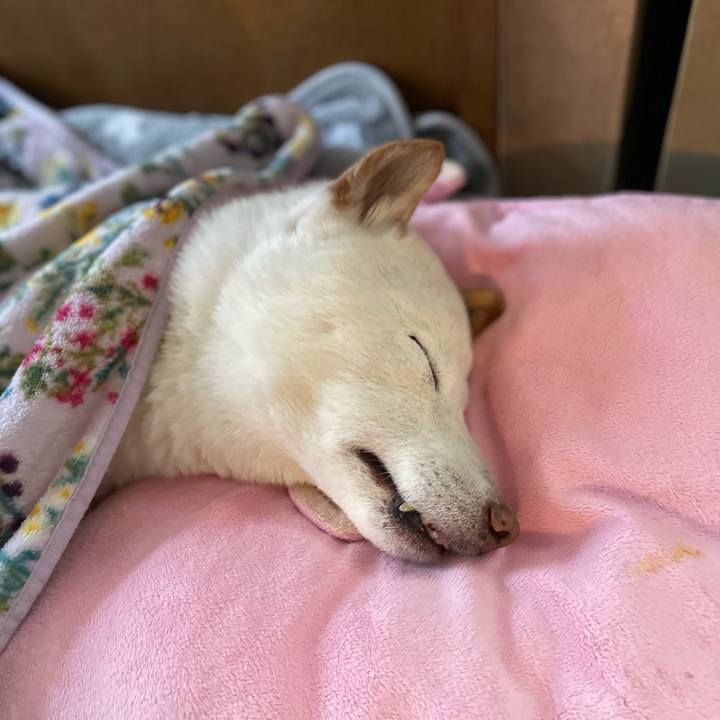 09972447 abfb 4da8 91c5 665ff52aef67 1648527381056