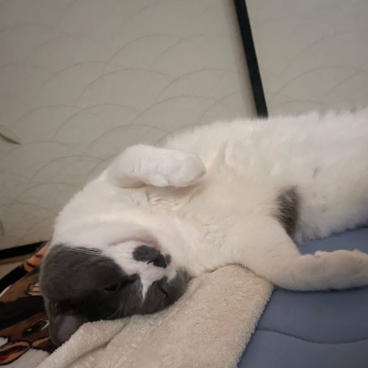 0997ab18 6a24 4a67 8344 9ab940ce2e50 1758671608799