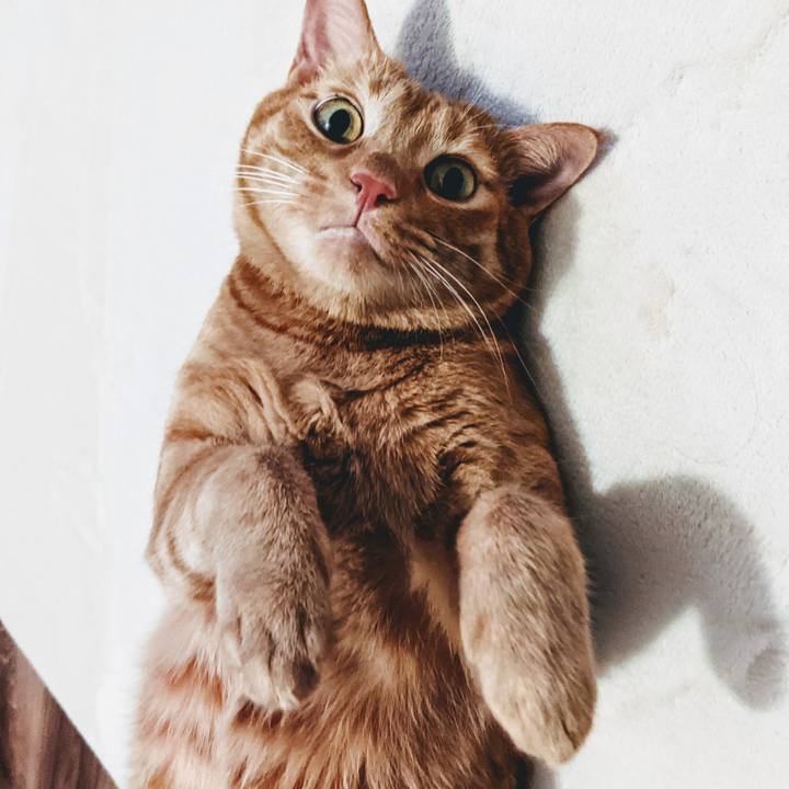 0997e2cc d4e8 42d3 b00f 5e16507fbc74 1628770648923