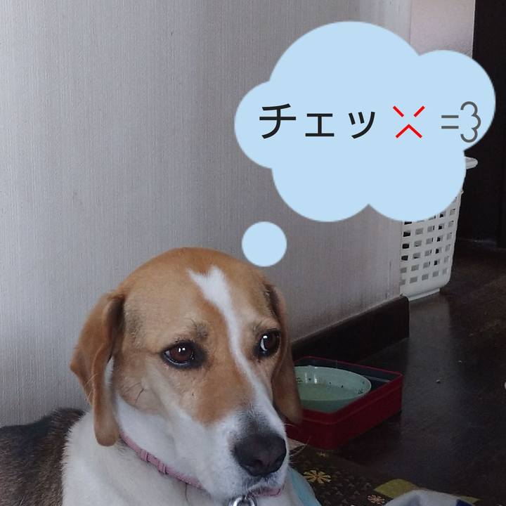 0997e7ea 7df6 404f 8aad e39a08d384d1 1589348412855