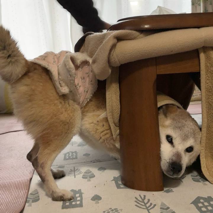 0997e972 a990 4bb0 bc85 695cc1c582cb 1736774517159