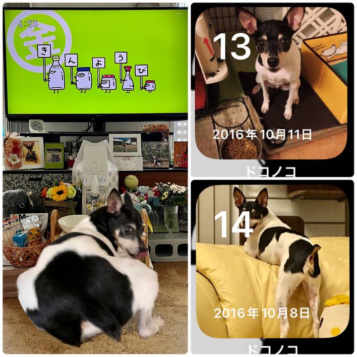 0997eb39 2e00 4e03 bfcc 9f830dc411e5 1665698438543