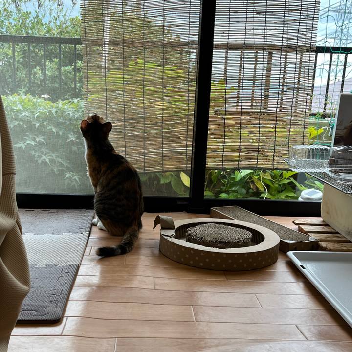 099806a8 7bbc 4cab aa50 af1a8fe25fd9 1663972717532