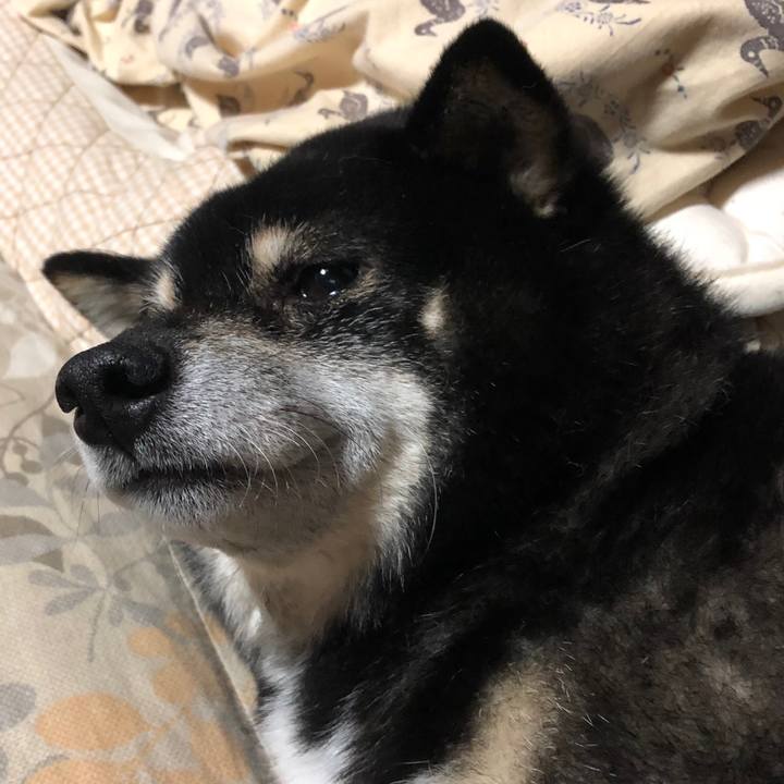 0998419b 611a 4e13 91f6 da52f4f2b37d 1603104474211