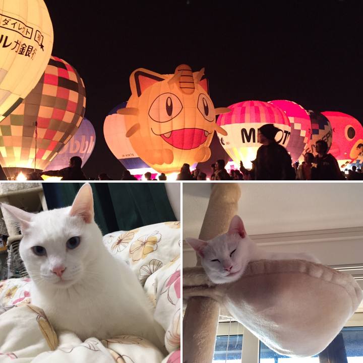 09985e9c 4922 4411 8764 84961b3b271f 1509889225163