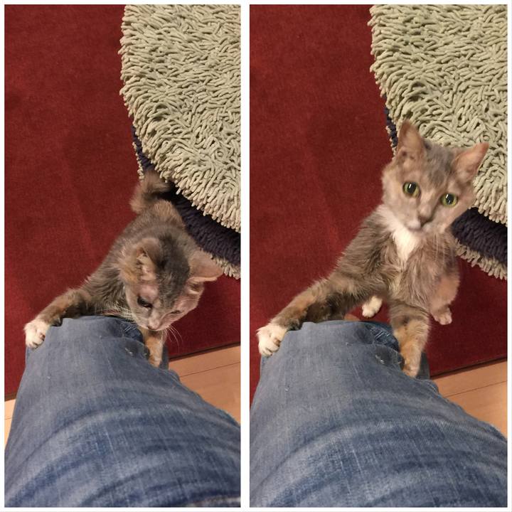 09985efa 25fa 4f28 a8ac 25566a29b5b8 1512906957957