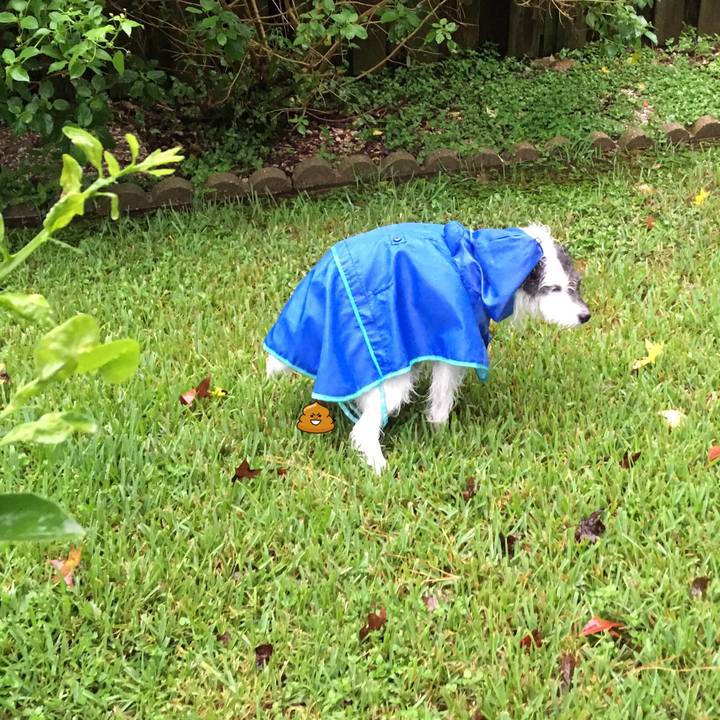 0998617e 67e0 4bb0 be73 ea9005a0bf09 1568844291462