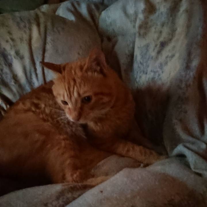 09988424 dab9 4b8f bdb8 fd3ce92bb697 1659817605335