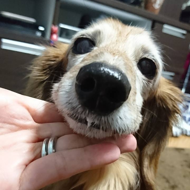 0998d14f 6a58 4e4a 9dde 437e1af559b0 1517216352958