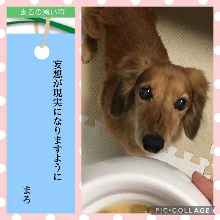 0998e89a a098 4636 b64e 02deb90548a5 1625634434680