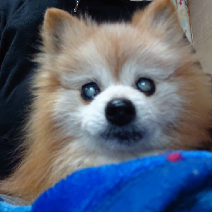 0998ef59 3e6c 422d 87b0 ed1ca82f4df4 1705965305527