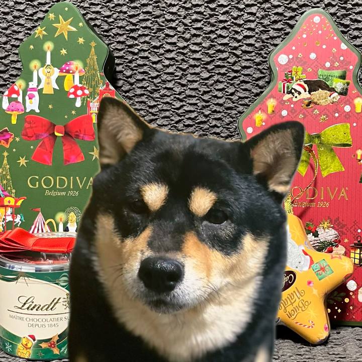 0998fedd 52df 4214 adeb c8b24a188200 1766669418427