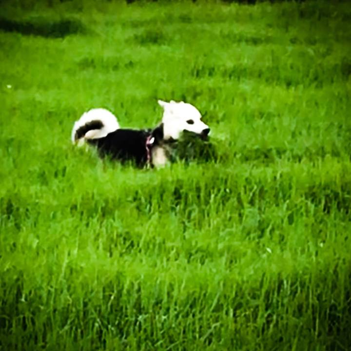 099909d5 fcc5 41fd 9194 ba232847533d 1550225823541