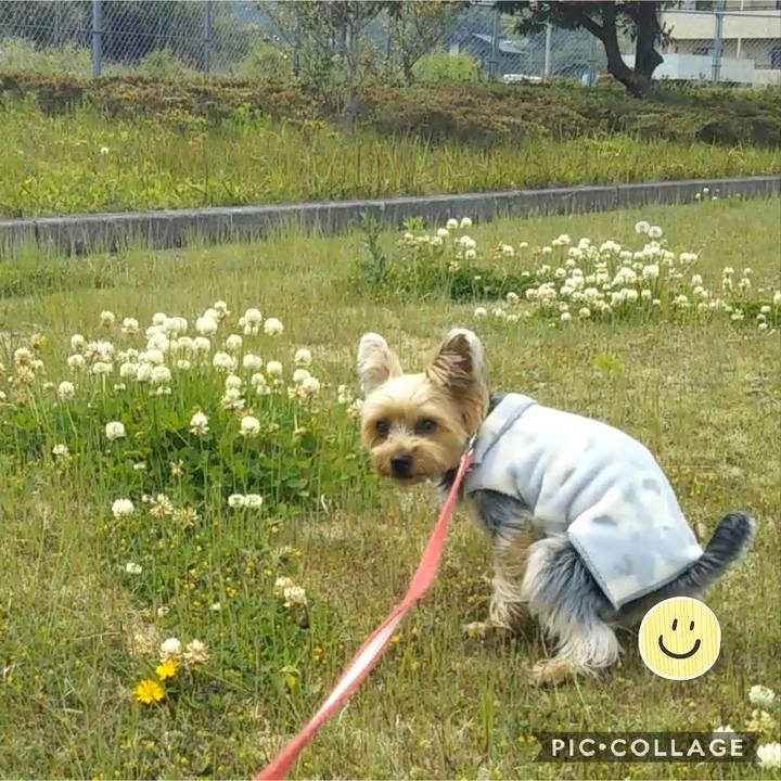 0999600c f74d 4191 bbc9 a0be2d41a902 1588144533988