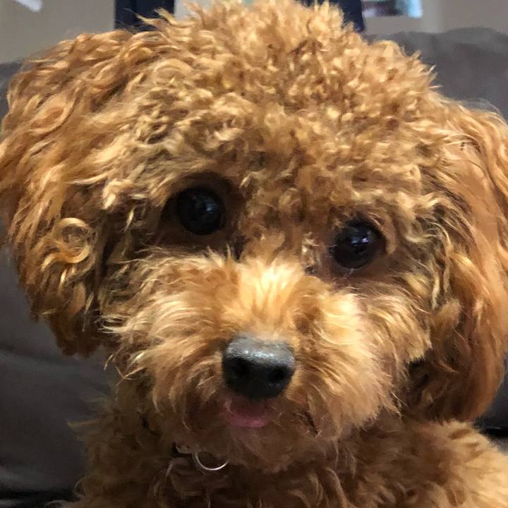 09996eea 1f03 4c27 8c5c 47a3f54e81b3 1507940188798