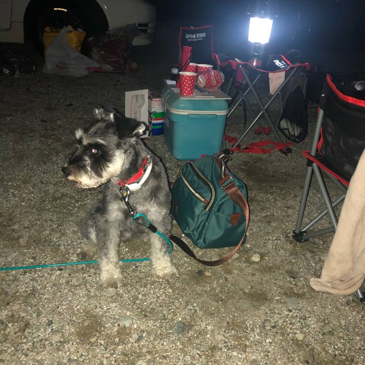 09998f44 b8b1 43c5 b3bb e1e64bd9d3d3 1568457259757