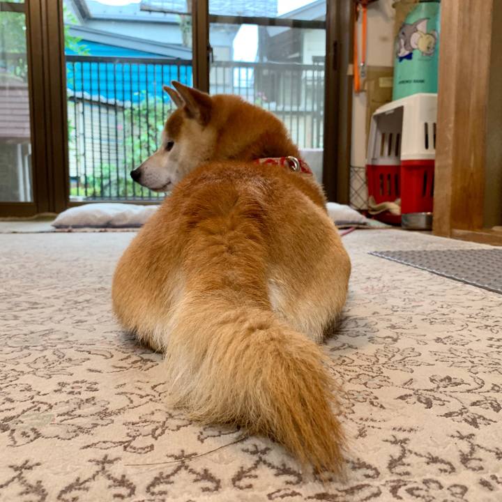 09999446 6f80 4cca af11 e9bd7cb0b9e2 1593767692213