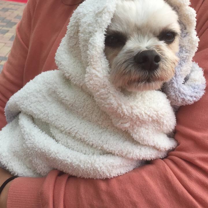 0999976c e69c 4dcf a606 6269d87089af 1556963459301