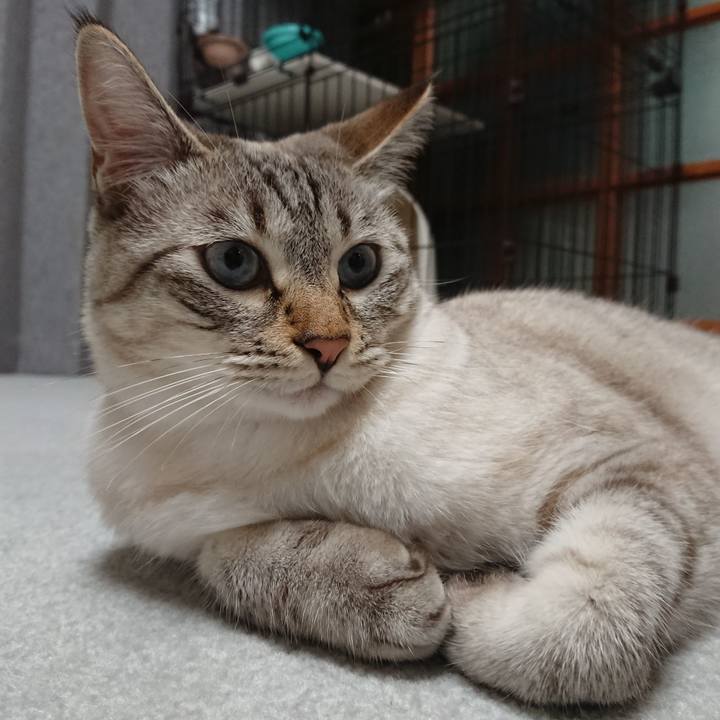 0999ac72 2e9a 40ea bce9 c444bc579c8b 1531564698743