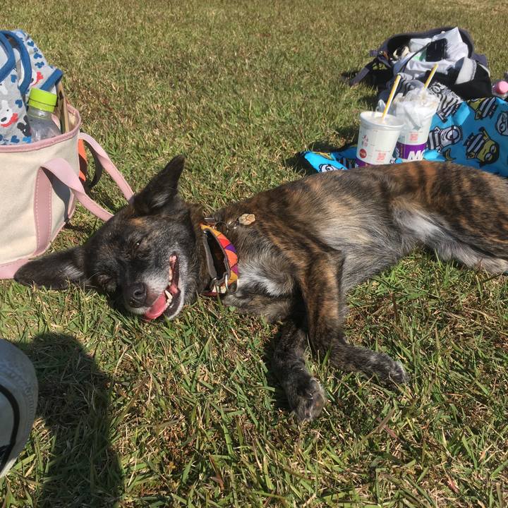 0999aca9 f037 44db 955d 97df49482963 1541339389170