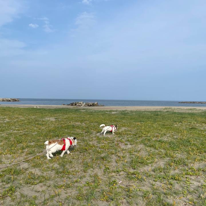 0999b267 e071 4889 ac19 87e6052f9f9f 1655508780499