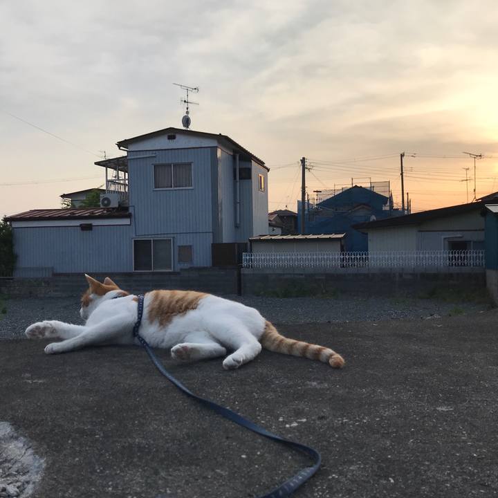 0999c352 8a36 4d6c 8652 036168659a10 1526386642861