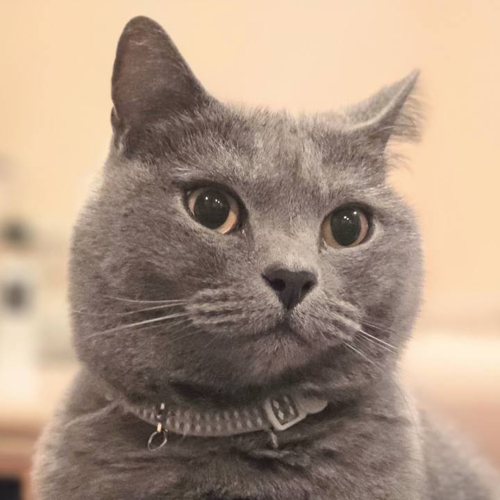 099a036e 76b7 4248 aebf d146f9caa100 1730285966993